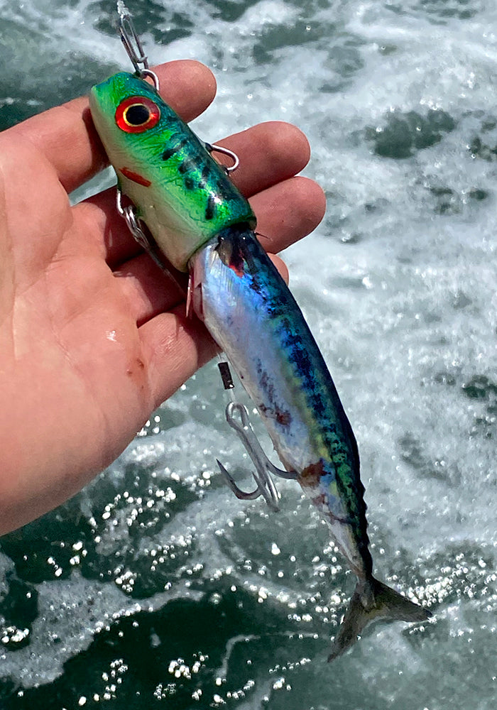 Fishing lure held by a hand with water in the background