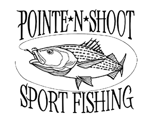 Logo for Pointe N Shoot Sport Fishing with a fish illustration.
